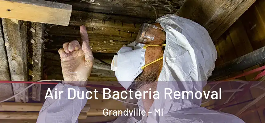  Air Duct Bacteria Removal Grandville - MI