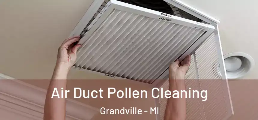  Air Duct Pollen Cleaning Grandville - MI