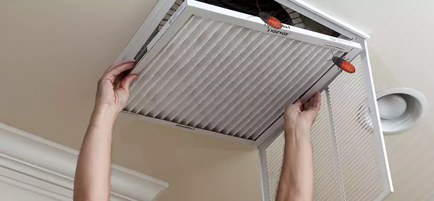 Preventive Cockroach-Proofing for Ducts in Grandville