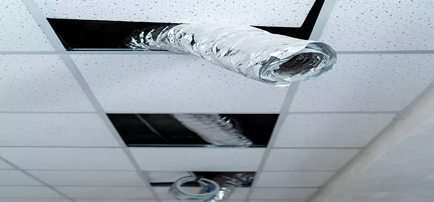 Our Air Duct Pet Hair Removal Services in Grandville, MI