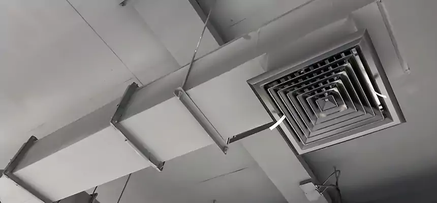 Our Rodent Droppings In Vents Services in Grandville, MI