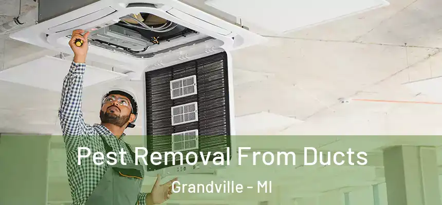  Pest Removal From Ducts Grandville - MI