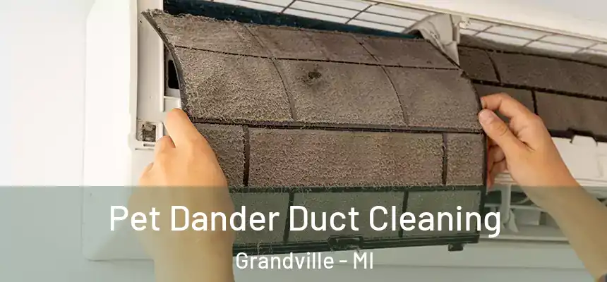  Pet Dander Duct Cleaning Grandville - MI