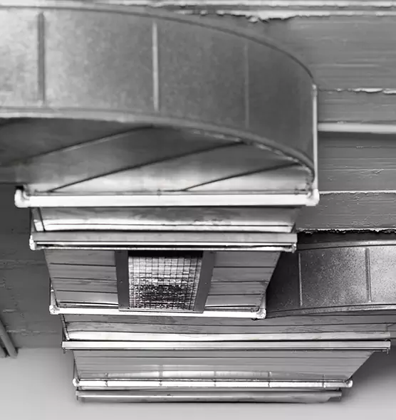 Professional Air Duct Pest Removal in Grandville, MI