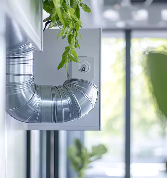 Professional Eco-Safe Dryer Vent Cleaning in Grandville, MI