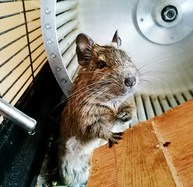 Why Homeowners & Businesses Trust Us Grandville, MI